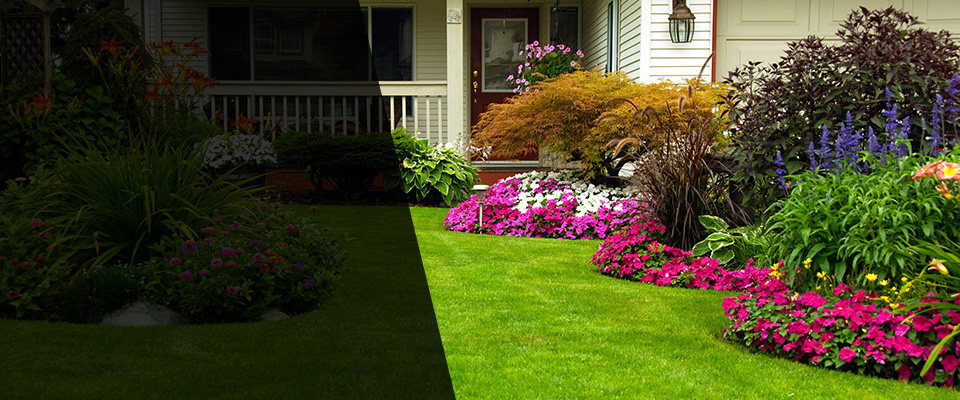 Spring Mount Landscapers