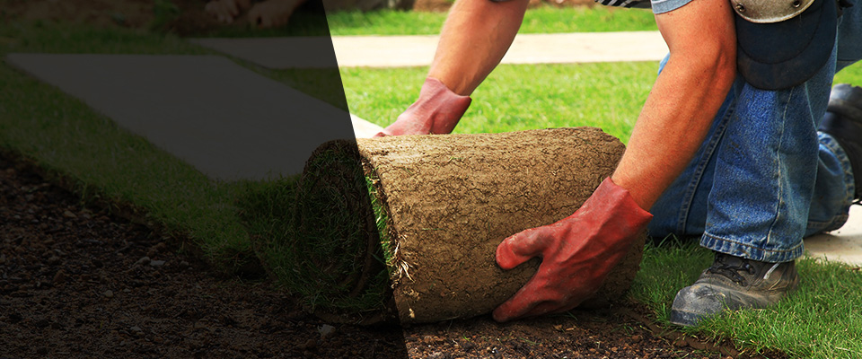 Spring Mount Landscapers